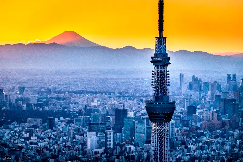 Kinh nghiệm du lịch Tokyo với vô vàn trải nghiệm mãn nhãn 9