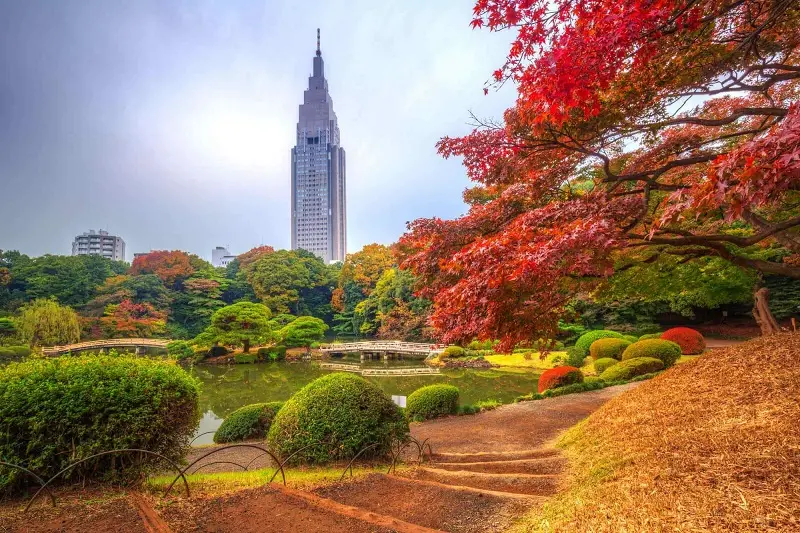 Kinh nghiệm du lịch Tokyo với vô vàn trải nghiệm mãn nhãn 17