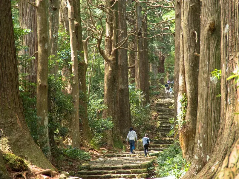Kumano Kodo Nhật Bản tuyến đường h&agrave;nh hương đến với c&aacute;c vị thần 2