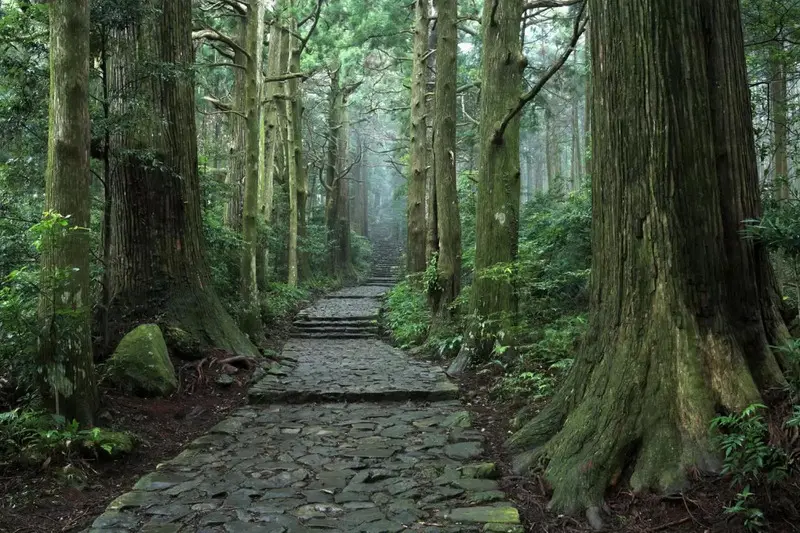 Kumano Kodo Nhật Bản tuyến đường h&agrave;nh hương đến với c&aacute;c vị thần 9