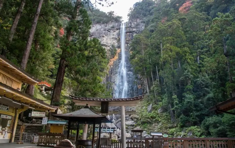 Kumano Kodo Nhật Bản tuyến đường h&agrave;nh hương đến với c&aacute;c vị thần 11