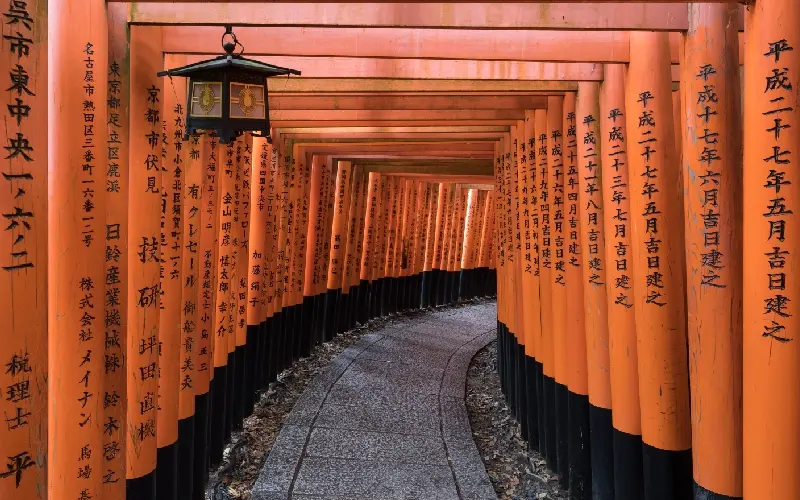 Kyoto: Cố đ&ocirc; ng&agrave;n năm v&agrave; h&agrave;nh tr&igrave;nh chạm linh hồn Nhật Bản 6