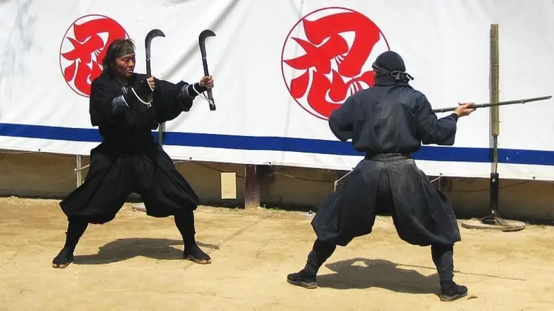 Ninja Nhật Bản, danh xưng c&oacute; thật hay chỉ l&agrave; c&acirc;u chuyện truyền thuyết? 5