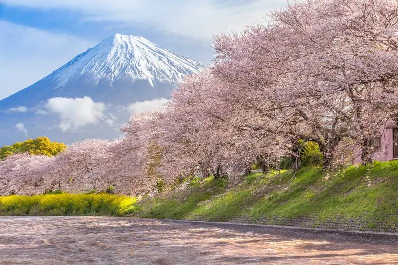 Shizuoka điểm đến hướng về n&uacute;i Ph&uacute; Sĩ linh thi&ecirc;ng của Nhật Bản 2