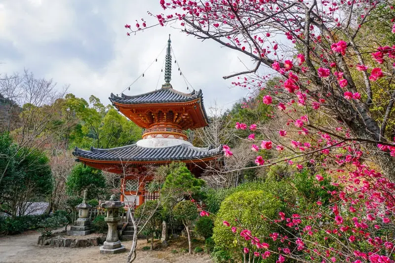 Th&agrave;nh phố Hiroshima biểu tượng của sự t&aacute;i sinh tại Nhật Bản 7