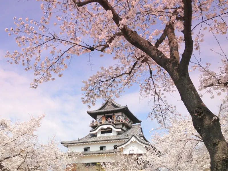 Tỉnh Aichi mảnh đất của l&acirc;u đ&agrave;i v&agrave; samurai tại Nhật Bản 7