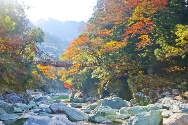 Tokushima nơi t&igrave;m kiếm hương vị Nhật Bản đ&iacute;ch thực 2