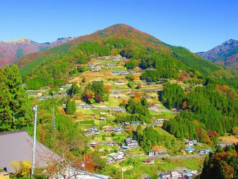 Tokushima nơi t&igrave;m kiếm hương vị Nhật Bản đ&iacute;ch thực 10