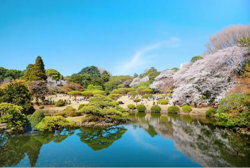 Vườn Quốc gia Shinjuku Gyoen m&agrave;u sắc tương phản giữa Tokyo nhộn nhịp 6
