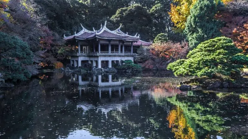 Vườn Quốc gia Shinjuku Gyoen m&agrave;u sắc tương phản giữa Tokyo nhộn nhịp 7