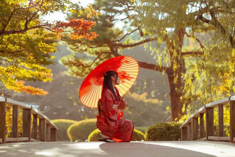 Vườn Quốc gia Shinjuku Gyoen m&agrave;u sắc tương phản giữa Tokyo nhộn nhịp 3