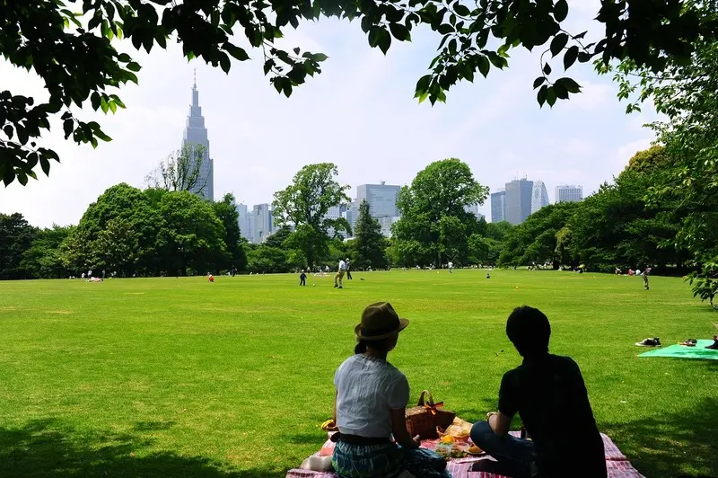 Vườn Quốc gia Shinjuku Gyoen m&agrave;u sắc tương phản giữa Tokyo nhộn nhịp 9
