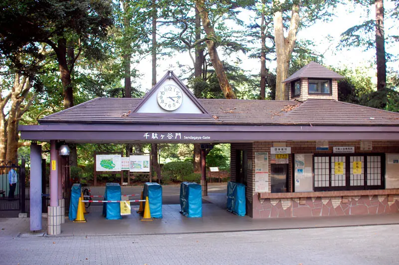 Vườn Quốc gia Shinjuku Gyoen m&agrave;u sắc tương phản giữa Tokyo nhộn nhịp 5