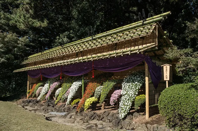 Vườn Quốc gia Shinjuku Gyoen m&agrave;u sắc tương phản giữa Tokyo nhộn nhịp 10