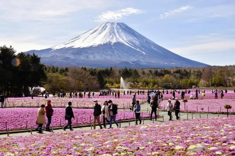 Yamanashi qu&ecirc; hương của ngọn n&uacute;i Ph&uacute; Sĩ Nhật Bản 6