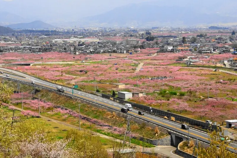 Yamanashi qu&ecirc; hương của ngọn n&uacute;i Ph&uacute; Sĩ Nhật Bản 14