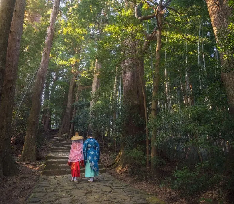 Kumano Kodo Nhật Bản tuyến đường hành hương đến với các vị thần