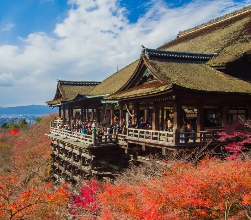 Kyoto: Cố đô ngàn năm và hành trình chạm linh hồn Nhật Bản