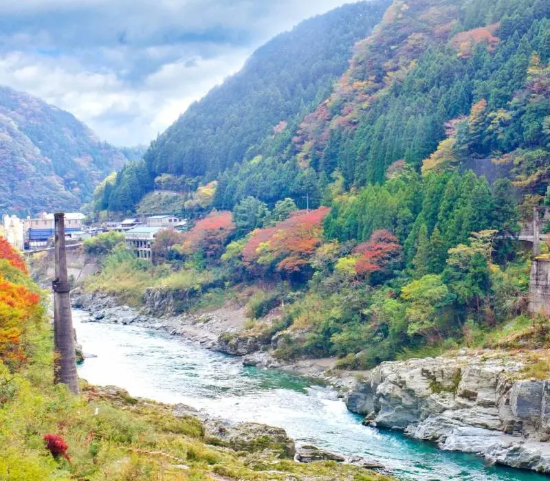 Lạc vào Shikoku, miền đất lãng quên nơi đảo Honshu