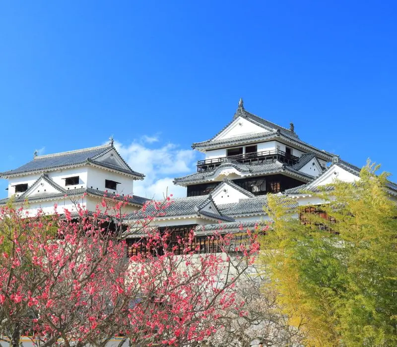 Matsuyama quê hương của thơ haiku hiện đại Nhật Bản