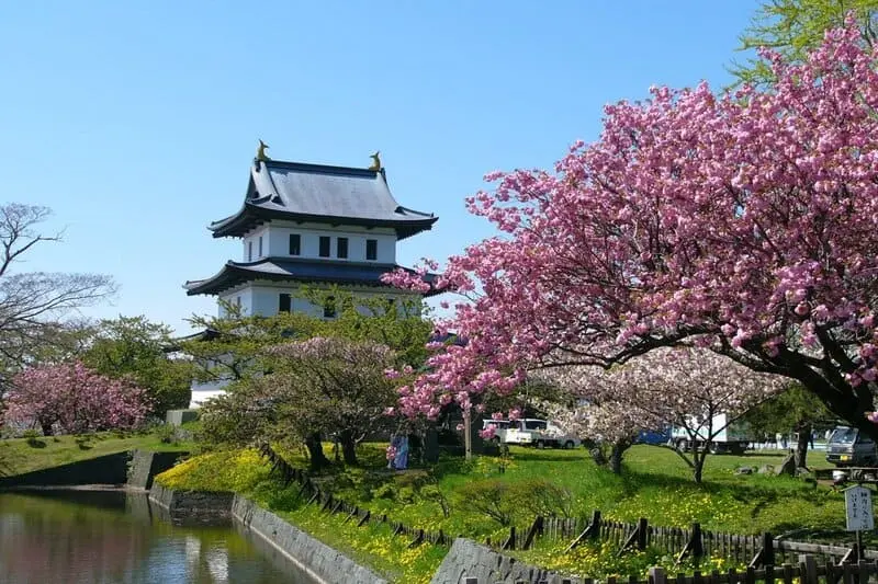 Chi&ecirc;m ngưỡng lễ hội hoa anh đ&agrave;o Hanami tại Nhật Bản 9