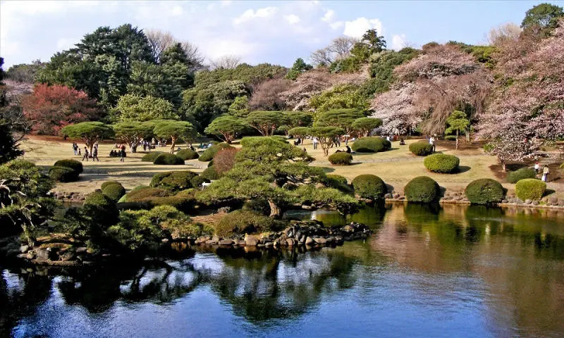 Một ng&agrave;y kh&aacute;m ph&aacute; Shinjuku, điểm đến độc đ&aacute;o bậc nhất Tokyo 6