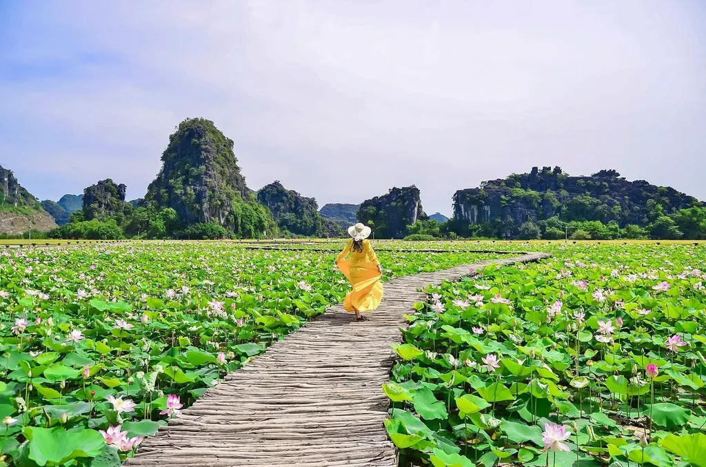 Kh&aacute;m ph&aacute; c&aacute;c m&oacute;n ăn từ sen tươi Ninh B&igrave;nh với hương vị đồng qu&ecirc; 2