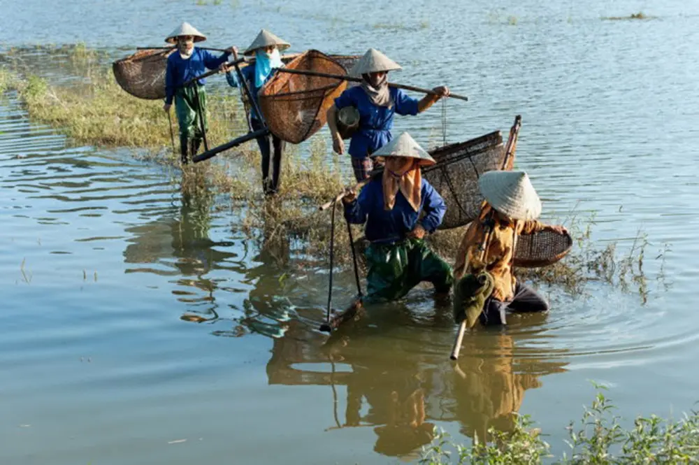 Mắm t&eacute;p Gia Viễn - Đặc sản ẩm thực Ninh B&igrave;nh 6