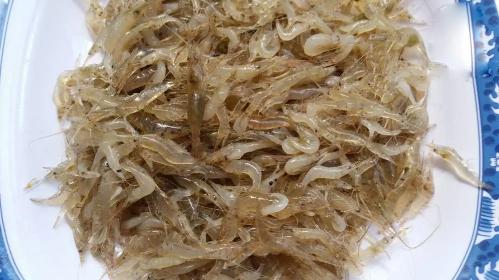 Mắm t&eacute;p Gia Viễn - Đặc sản ẩm thực Ninh B&igrave;nh 3