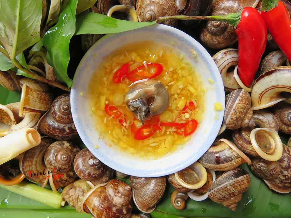 Thưởng thức đặc sản Ninh B&igrave;nh với Ốc n&uacute;i Ninh B&igrave;nh độc đ&aacute;o 6