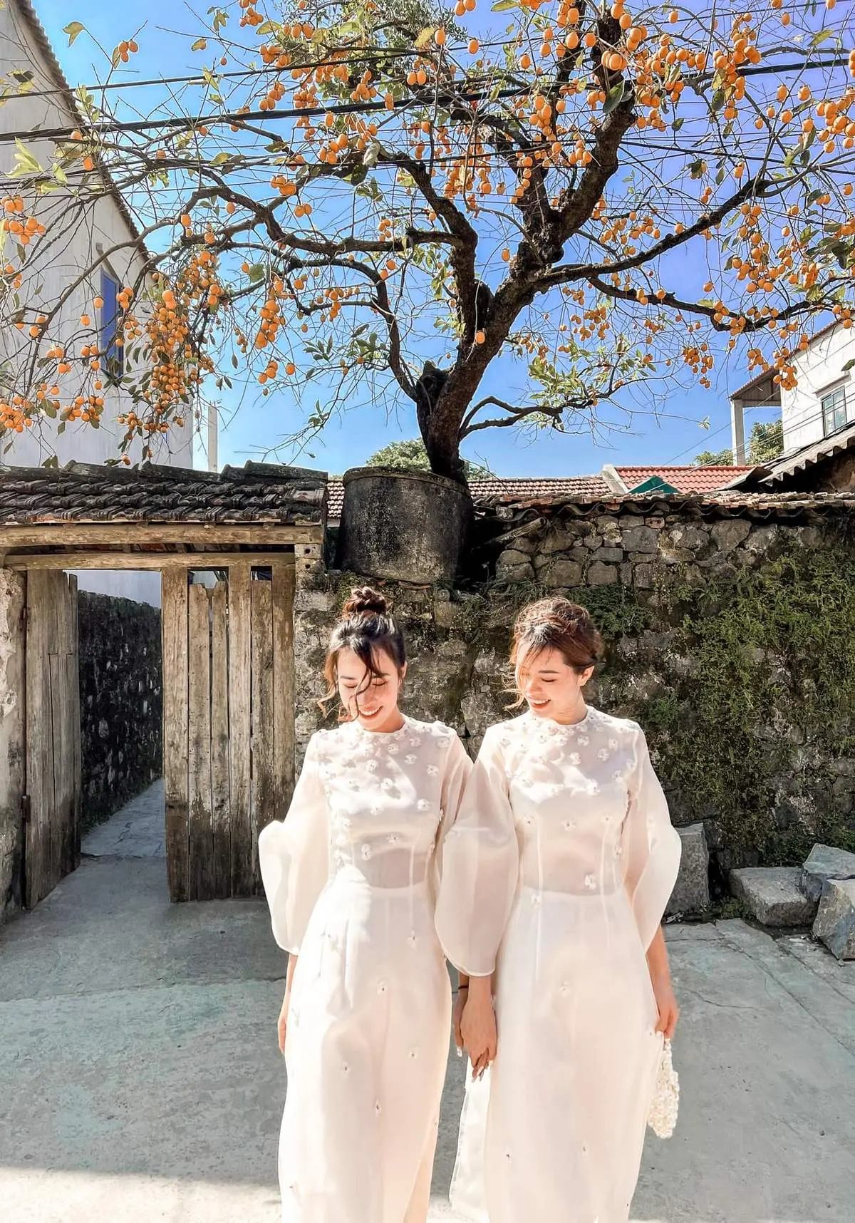 Check-in C&acirc;y hồng trăm tuổi, trải nghiệm lạc v&agrave;o kh&ocirc;ng gian cổ xưa 3