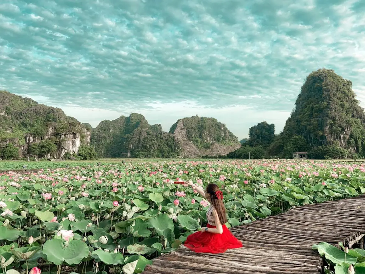 Đầm sen Hang Múa Ninh Bình nên thơ qua ống kính cô nàng Lâm Hy 6