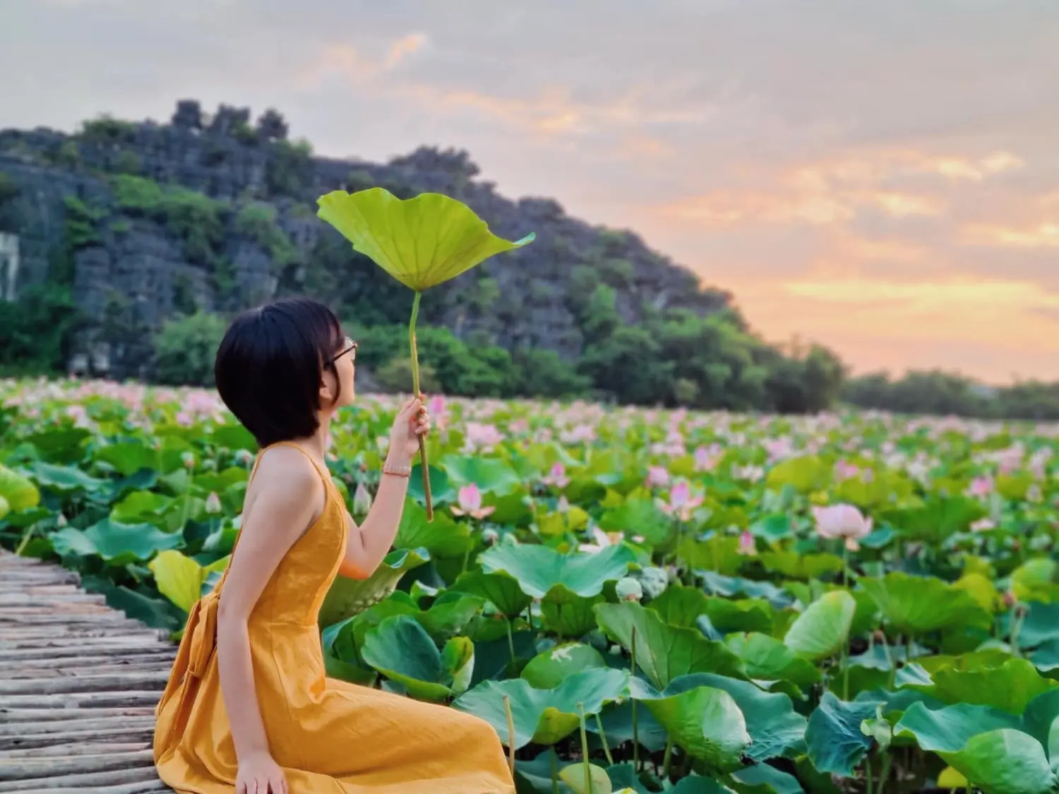 Đầm sen Hang Múa Ninh Bình nên thơ qua ống kính cô nàng Lâm Hy 3