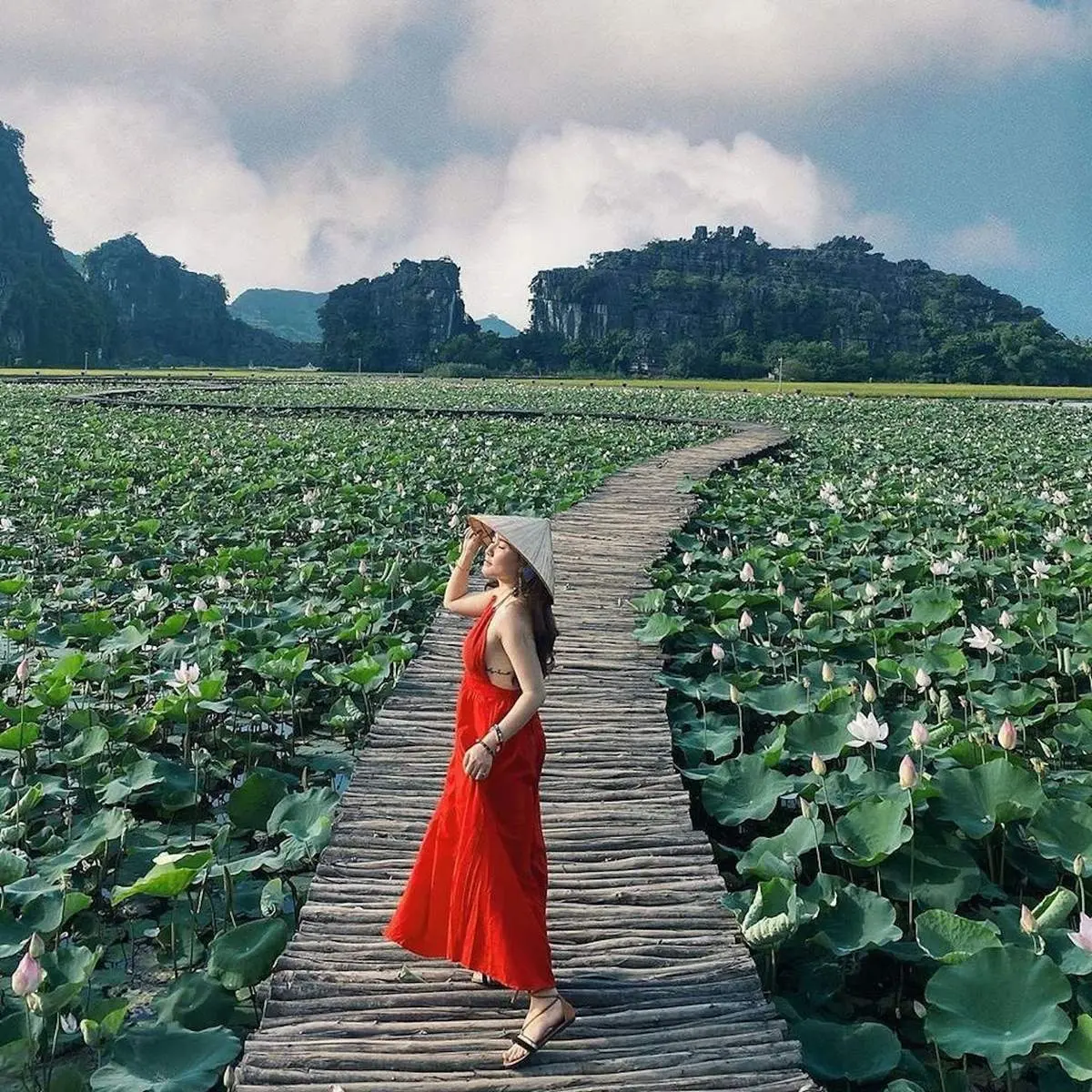 Đầm sen Hang Múa Ninh Bình nên thơ qua ống kính cô nàng Lâm Hy 5