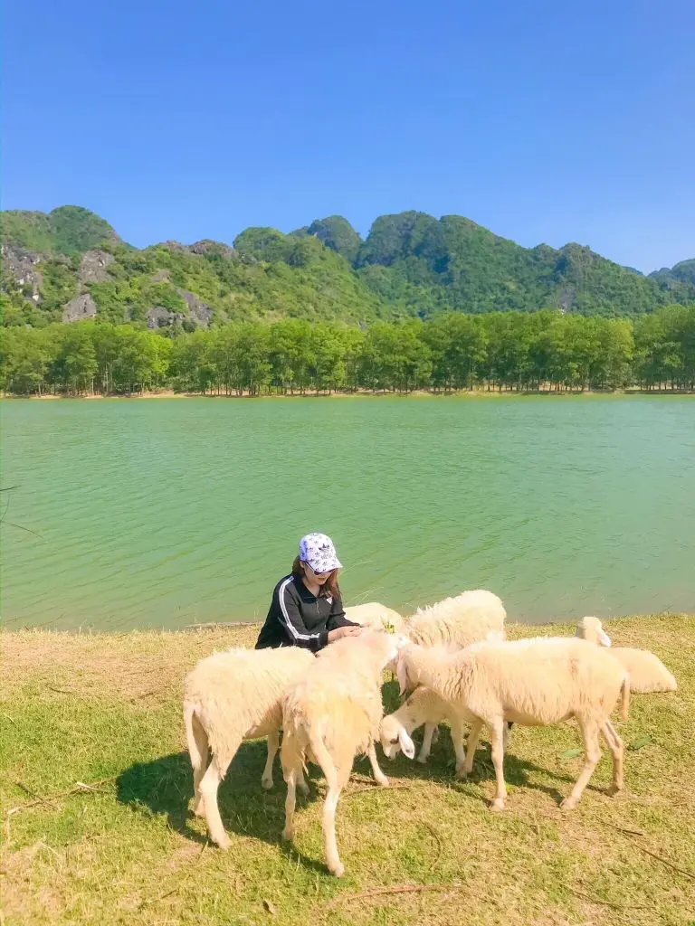 Review Ninh B&igrave;nh 1 ng&agrave;y đi từ Th&aacute;i B&igrave;nh với chi ph&iacute; cực sinh vi&ecirc;n 6
