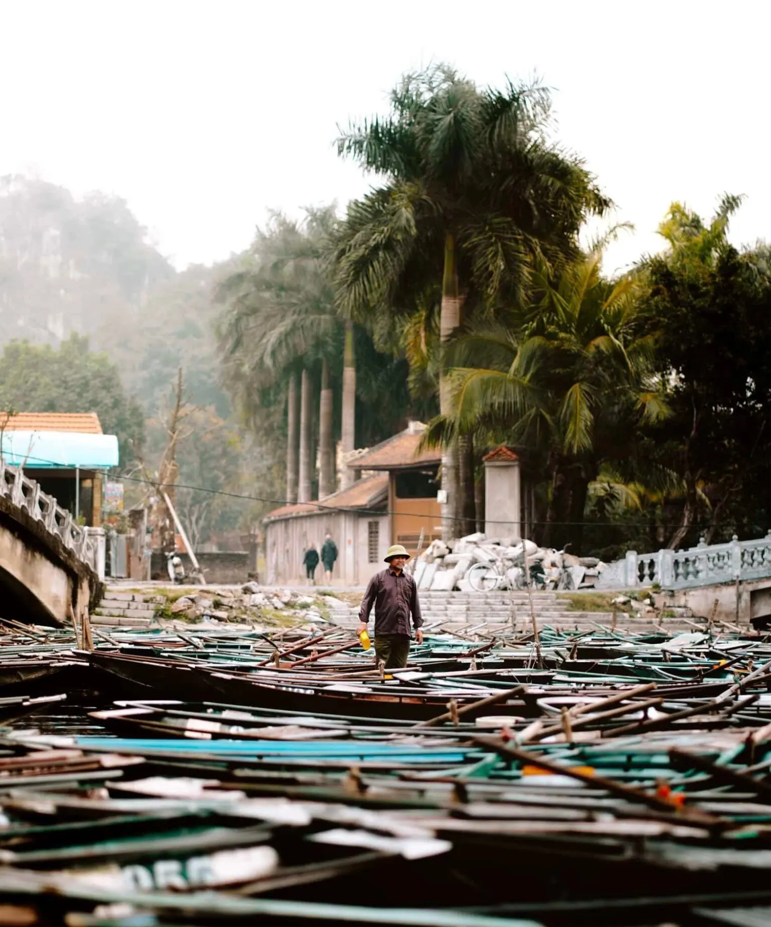 Review Tam Cốc, bức tranh hoang sơ m&ugrave;a l&uacute;a trổ đ&ograve;ng 3
