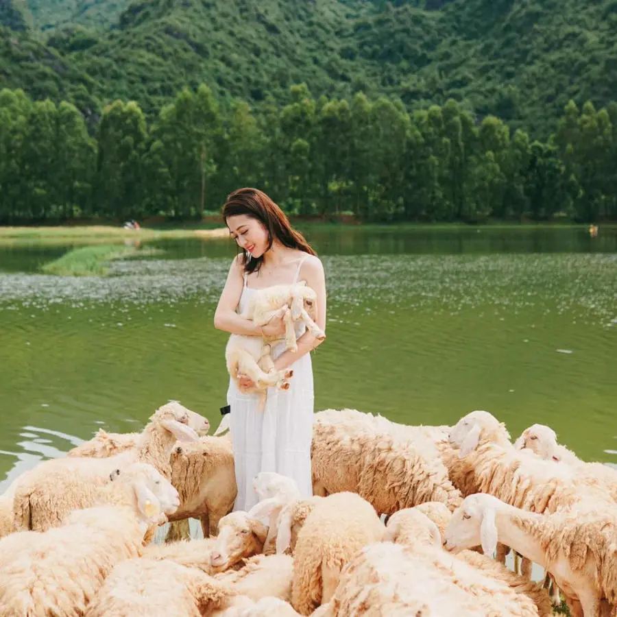 Sống ảo tại Đồi cừu Ninh B&igrave;nh thơ mộng tựa như tranh vẽ 2