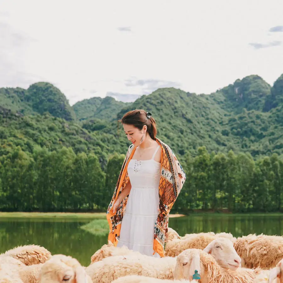 Sống ảo tại Đồi cừu Ninh B&igrave;nh thơ mộng tựa như tranh vẽ 7