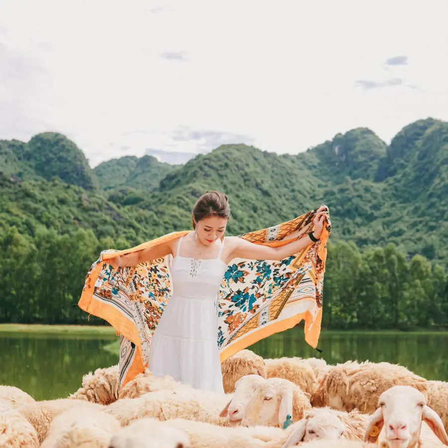 Sống ảo tại Đồi cừu Ninh B&igrave;nh thơ mộng tựa như tranh vẽ 5
