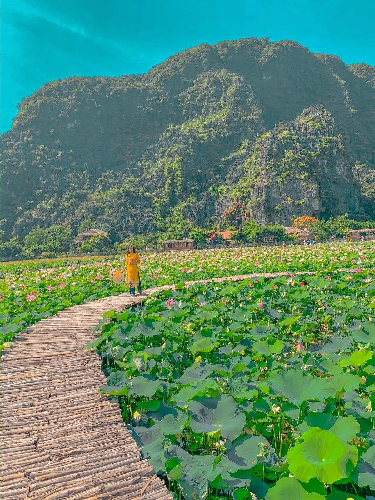 Tràng An một ngày vui chơi, lưu ngay bài viết này 7