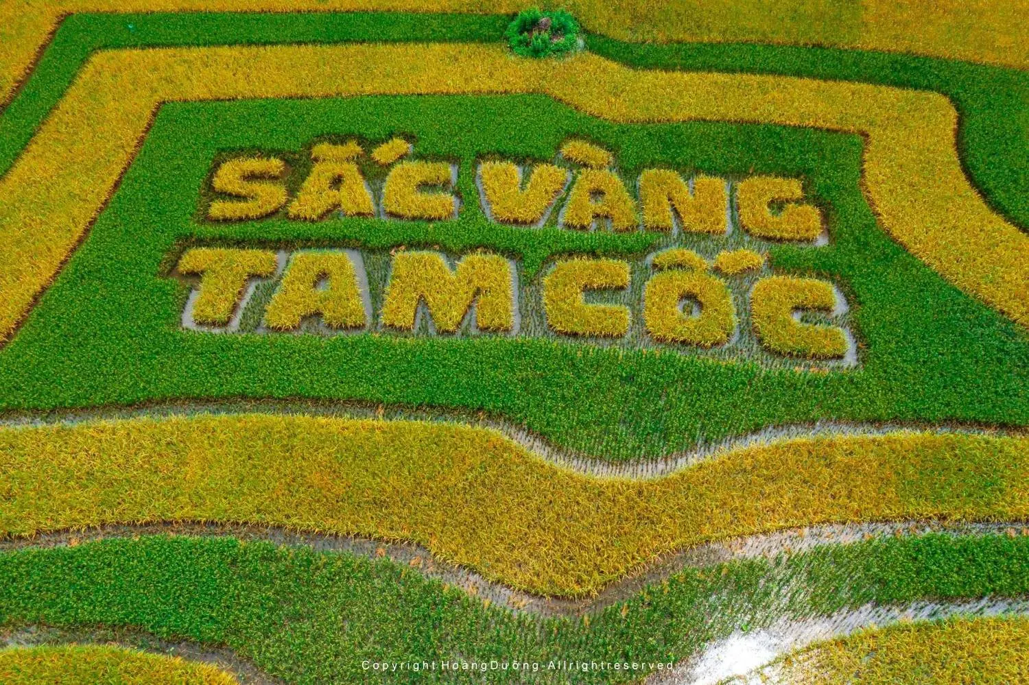 Tự h&agrave;o 'Sắc v&agrave;ng Tam Cốc', l&aacute; cờ hội bằng l&uacute;a lớn nhất Việt Nam 4