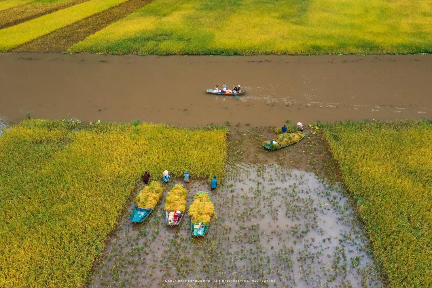 Tự h&agrave;o 'Sắc v&agrave;ng Tam Cốc', l&aacute; cờ hội bằng l&uacute;a lớn nhất Việt Nam 5