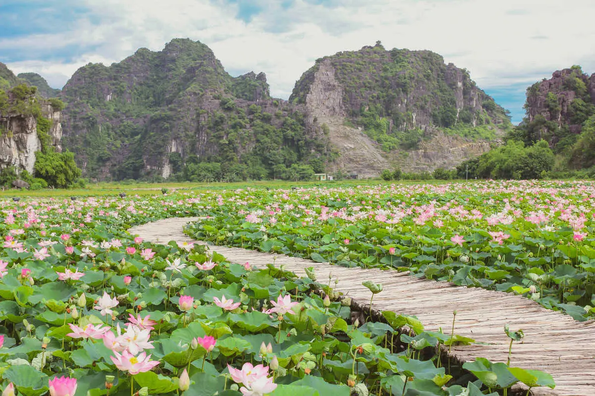 Khám phá Ninh Bình trong 24H cùng travel blogger Mạnh Tiến Khôi