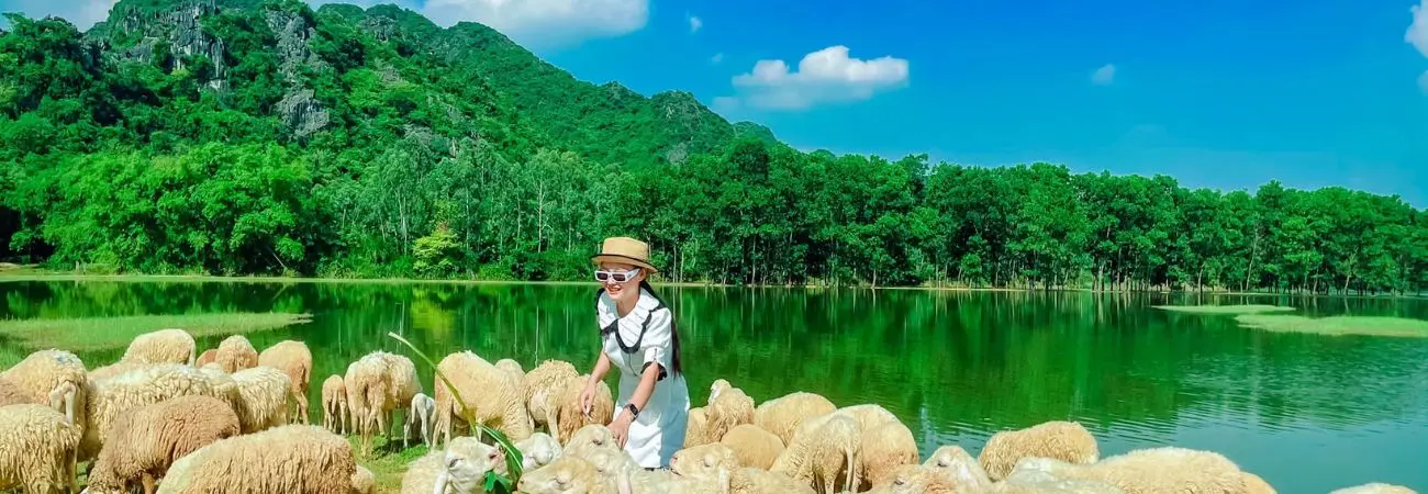 Sống ảo tại Đồi cừu Ninh Bình thơ mộng tựa như tranh vẽ
