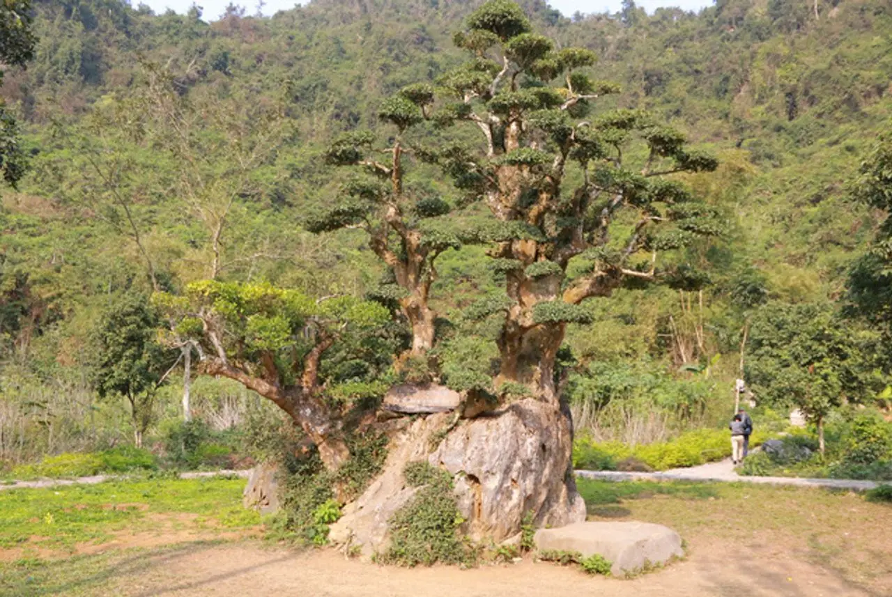 Bỏ t&uacute;i kinh nghiệm kh&aacute;m ph&aacute; một ng&agrave;y ở Thung Nham 7