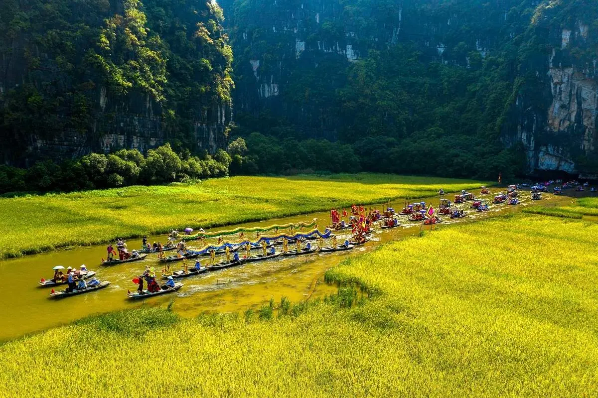 Chi&ecirc;m ngưỡng m&ugrave;a l&uacute;a ch&iacute;n Ninh B&igrave;nh v&agrave;ng &oacute;ng b&ecirc;n d&ograve;ng s&ocirc;ng Ng&ocirc; Đồng 7