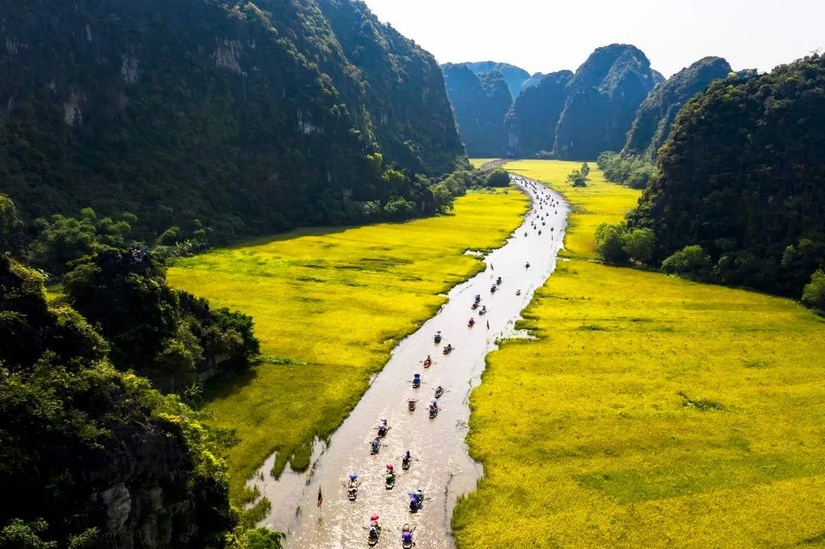 Chi&ecirc;m ngưỡng m&ugrave;a l&uacute;a ch&iacute;n Ninh B&igrave;nh v&agrave;ng &oacute;ng b&ecirc;n d&ograve;ng s&ocirc;ng Ng&ocirc; Đồng 9