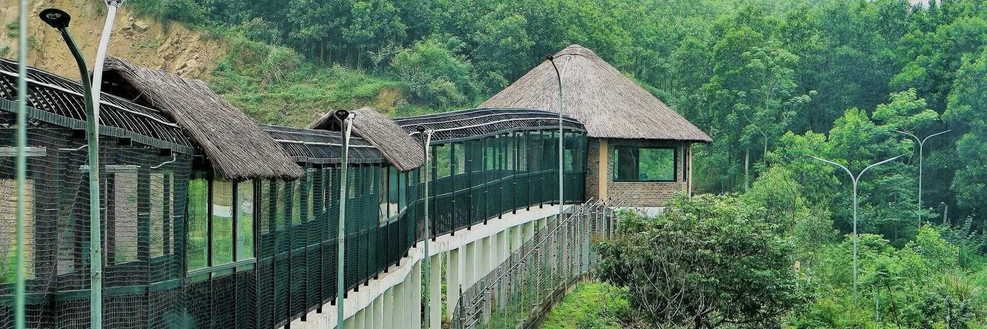Cơ sở bảo tồn gấu Ninh B&igrave;nh: Điểm đến th&uacute; vị d&agrave;nh cho người y&ecirc;u thi&ecirc;n nhi&ecirc;n v&agrave; động vật hoang d&atilde; 4