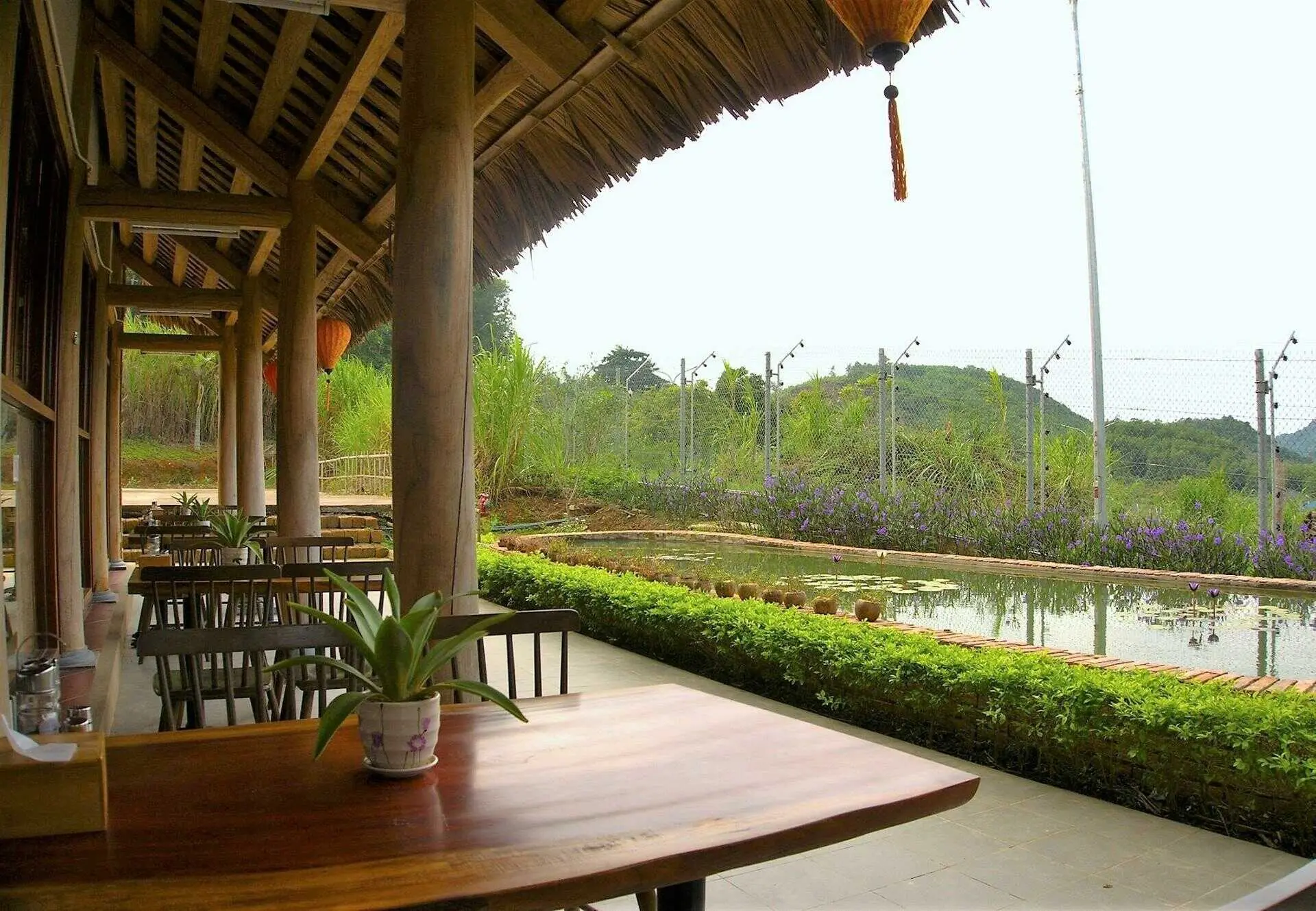 Cơ sở bảo tồn gấu Ninh B&igrave;nh: Điểm đến th&uacute; vị d&agrave;nh cho người y&ecirc;u thi&ecirc;n nhi&ecirc;n v&agrave; động vật hoang d&atilde; 7