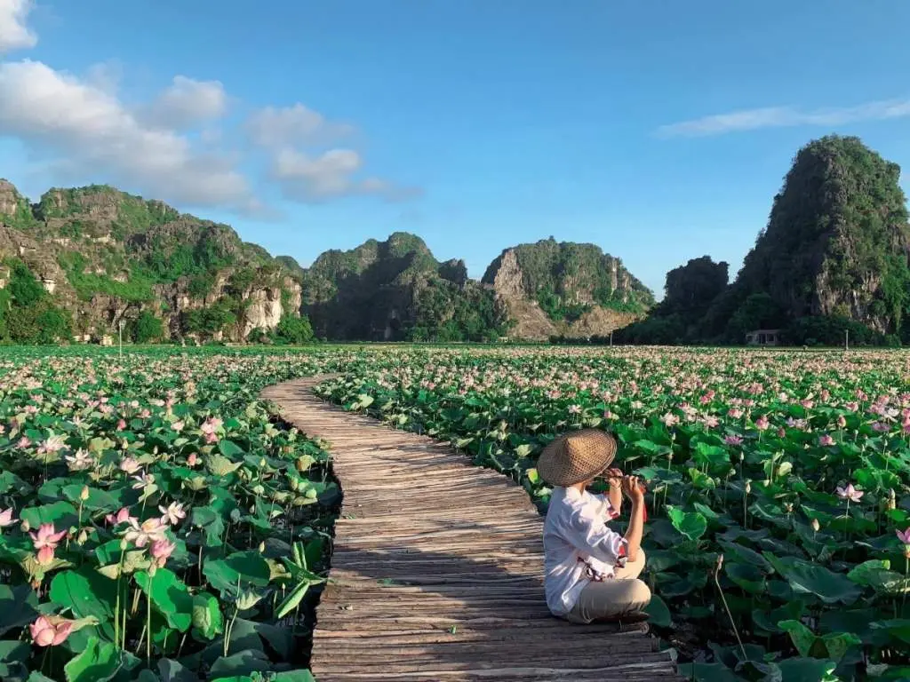 Đứng h&igrave;nh trước m&ugrave;a sen Ninh B&igrave;nh nở rộ đẹp m&ecirc; ly 5